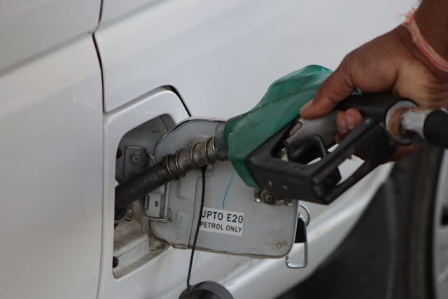 E20 Fuel Can Boost India’s Energy Security: Dr Mashelkar