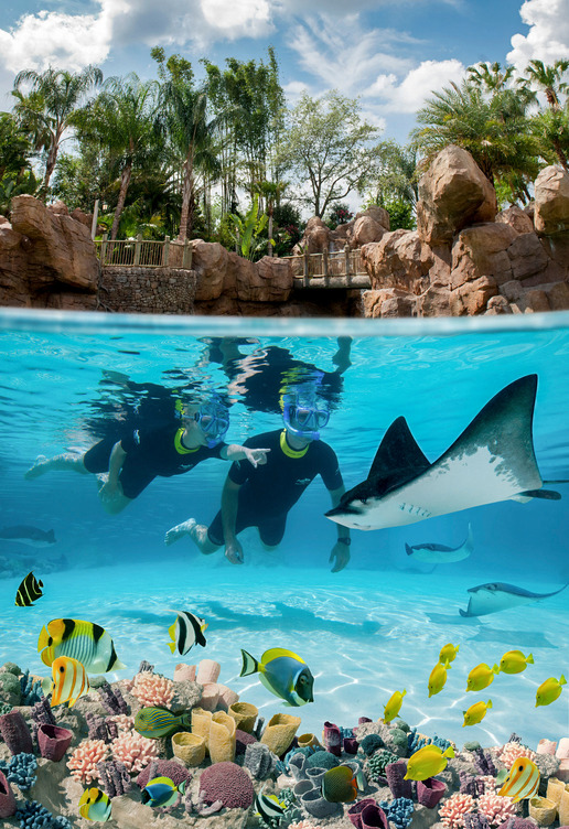 Explore Kissimmee’s Ultimate Water Park Experiences.