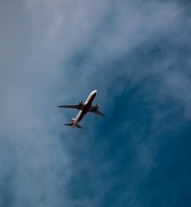 Domestic Air Travel Demand Slips 4.8 percent in July
